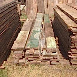 Antik Kestane